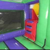 3d Lion Slide