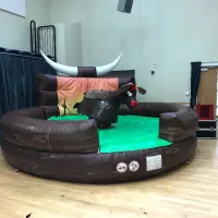 Rodeo Reindeer