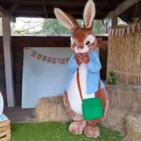 Peter Rabbit Mascot