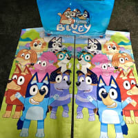 Plain Blue And Purple Castle With Side Slide