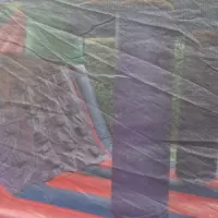 Circus Theme Fun Run