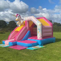 3d Unicorn Supreme Bouncy Castle