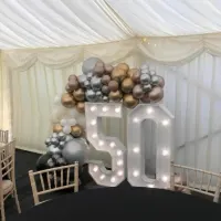 Double Led Number With Balloon Arch