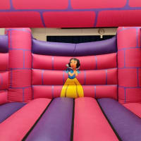 Princess Theme Combi Castle With Slide