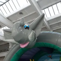 3d Jungle Bouncy Castle