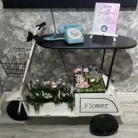 Package 3 - Audio Phone And Flower Scooter