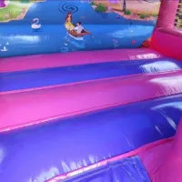 Pink Combi Bouncy Castle