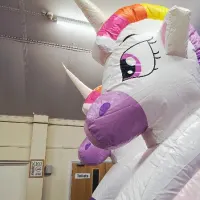 Unicorn Bouncy Castle
