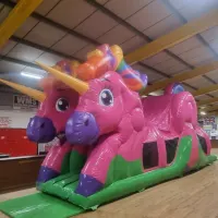 Unicorn Assault Course