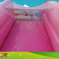 5ft Platform Unicorn Slide