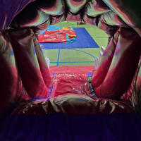 Dino Head Bounce N Slide