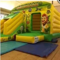 Jungle Bouncy Castle With Front Slide