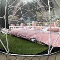 Party Dome