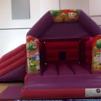 Pink  Purple Side Slide Castle Velcro 15 X 17ft