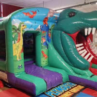 3d Dino Slide Castle