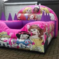 Mega Deluxe Princess Side Slide Birthday Party Package