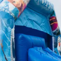 Frozen Bouncy Castle Combi