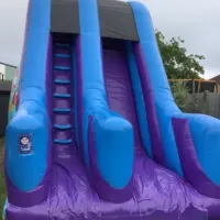 10ft Platform Party Slide