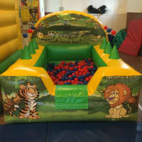 Jungle Theme Party Package