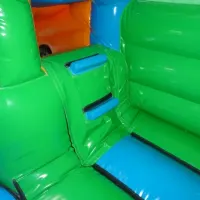 3d Jungle Bouncy Castle