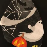 Halloween Night Mask
