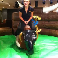 Rodeo Bull Hire