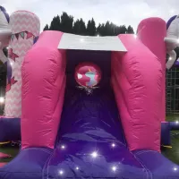 Happy Unicorn Slide Bouncy Castle