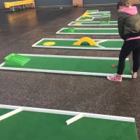 9 Hole Crazy Golf  Mini Golf Set