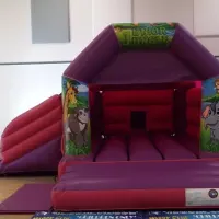 Pink  Purple Side Slide Castle Velcro 15 X 17ft