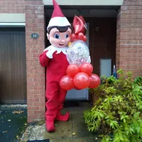 Elf On The Shelf Mascot