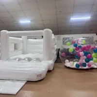 Package 1 - Any Castle Any Soft Play And The Bubble Balloon Dome Package