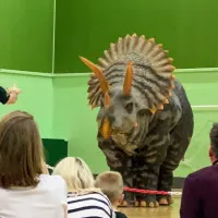 Full Size Triceratops