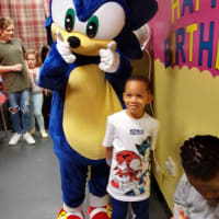 Sonic The Hedgehog Mascot