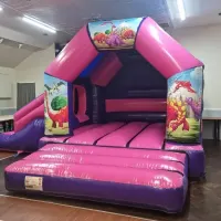 Pink And Purple Disco Side Slide Combi Bouncy Castle