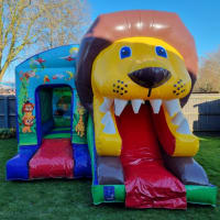 3d Lion Slide