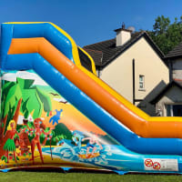 Large Inflatable Slide