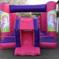 Pink Toddler Bounce And Slide