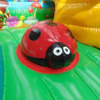 Inflatable Bugs Play Den Bouncy Castle