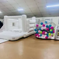 Package 1 - Any Castle Any Soft Play And The Bubble Balloon Dome Package