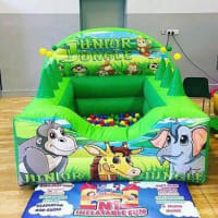 Junior Jungle Ball Pool