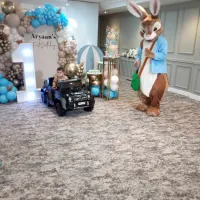 Peter Rabbit Mascot