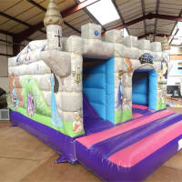 Princess Castle And Magic Show Little Disco  Games - 2hr Package