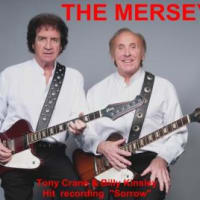 The Merseybeats