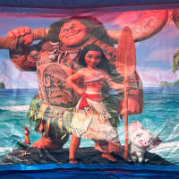 12ft X 12ft Pink And Purple - Moana Theme