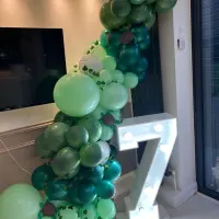 Themed Balloon Arch