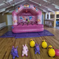 Pink Party Time Castle Hire Boston Spalding Sleaford
