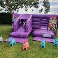 Princess Purple Front Slide 4.5m X 5.5m