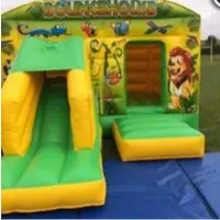 Jungle Bouncy Castle With Front Slide