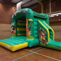 Jungle Theme Combi With Slide