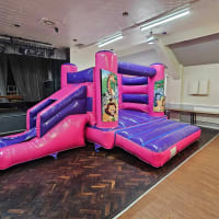 Jungle 18ft X 14ft H Frame Pink And Purple Side Slide Combi